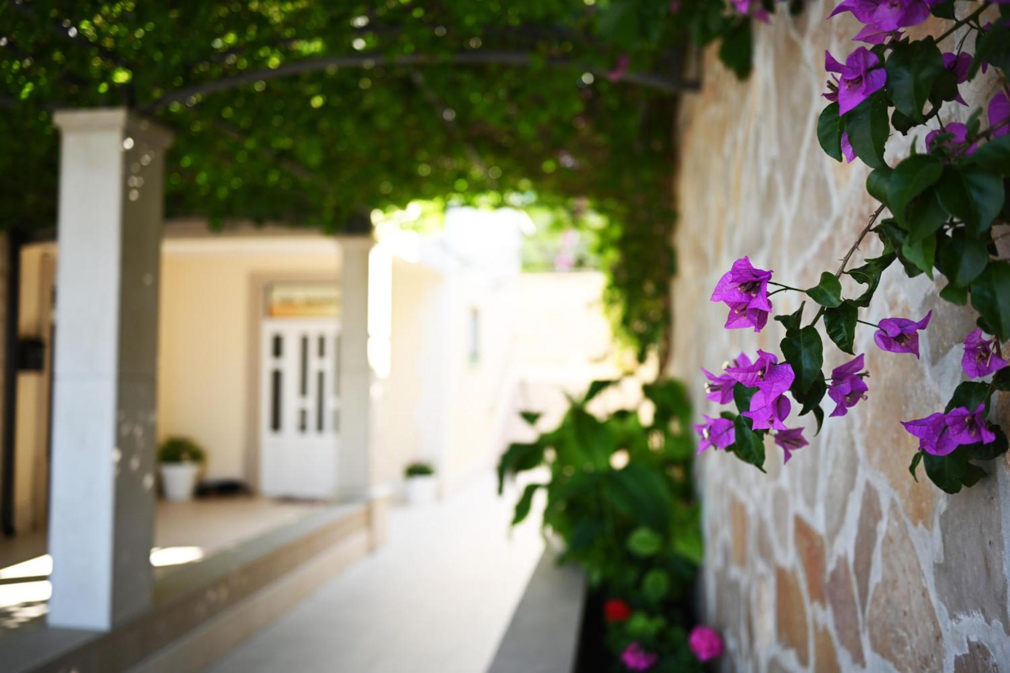 Hvar Villa Malisko Apartments Хвар Екстериор снимка